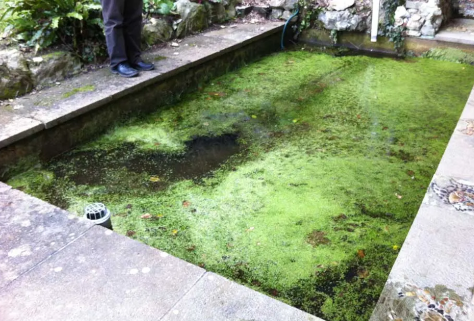 National Trust Property Pond Liner Refurbishment Property